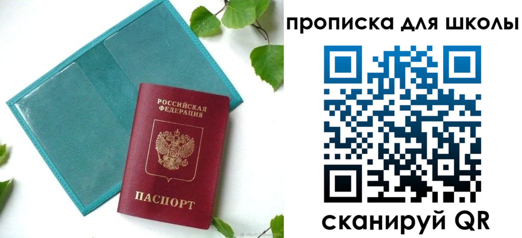прописка в Смоленской области